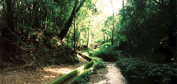 Poços de Caldas: O santuário da paz .: Turismo Brasil :. NippoBrasil