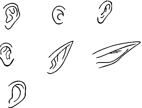 Como desenhar orelha, olhos, boca e nariz!